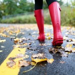 Fall Dangers Louisiana