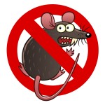 Prevent Rodent and Rodent Damage in DeRidder, LA